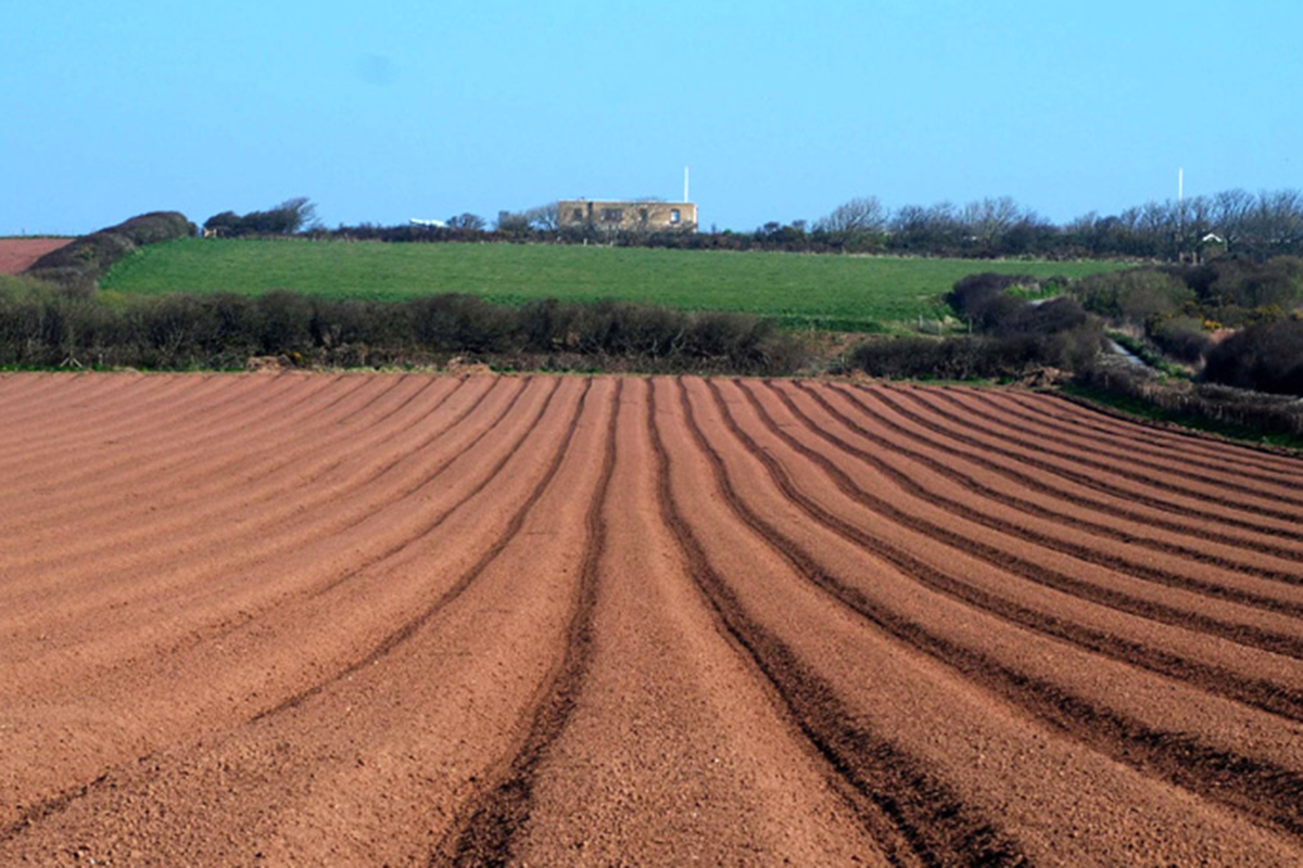 Tilled Land